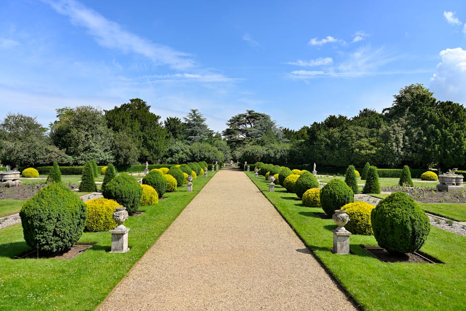 A straight gravel pathway extends into the distance, bordered by neatly trimmed spherical bushes with a mix of dark green and yellow-green foliage on each side. Small stone urns or planters sit atop low stone pedestals along the edges of the pathway, each containing additional plants or decorative elements. Behind the bushes, a well-maintained lawn stretches out, leading to a variety of mature trees with thick, leafy canopies in the background. The sky overhead is bright blue with a few wispy white clouds, indicating clear weather. The scene has a serene, orderly appearance typical of landscaped garden areas, and it subtly aligns with the concept of private or independent garden waste handling, such as pruning or clearing of garden debris, which is relevant for rubbish removal services like those provided by Rubbish Clearance Chiswick.